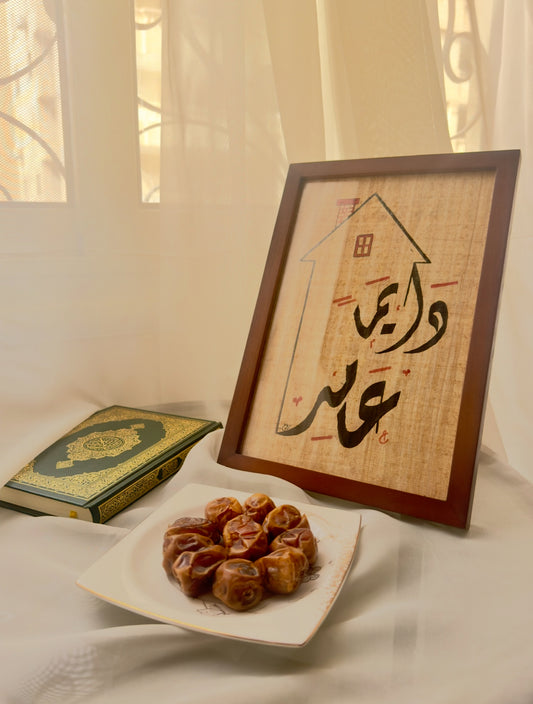 دايماً عامر