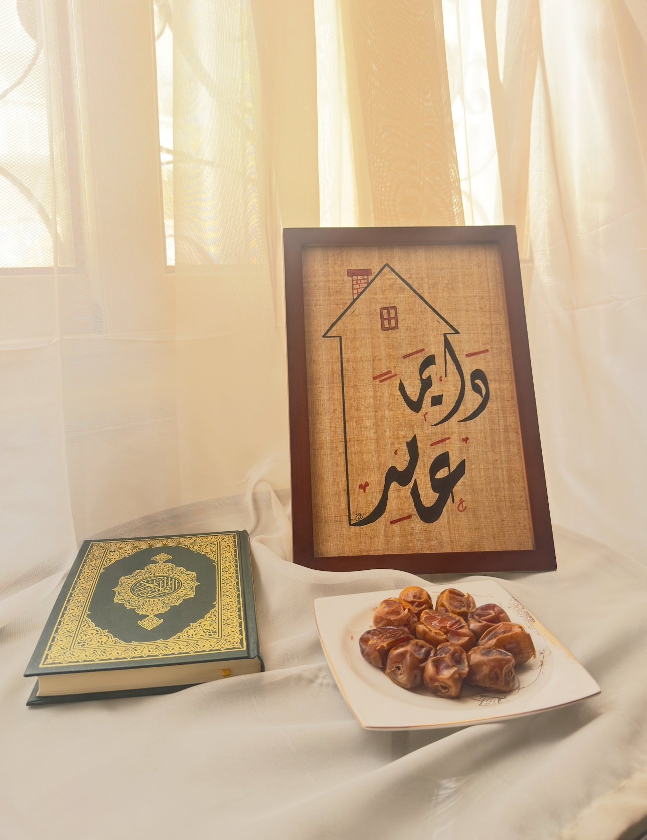 دايماً عامر
